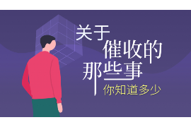 文安遇到恶意拖欠？专业追讨公司帮您解决烦恼